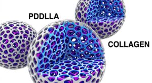PDLLA 미세 입자의 다공성 구조 다이어그램